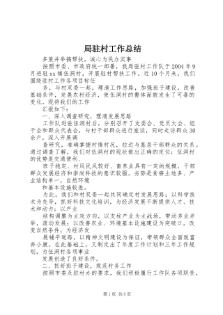 局驻村工作总结