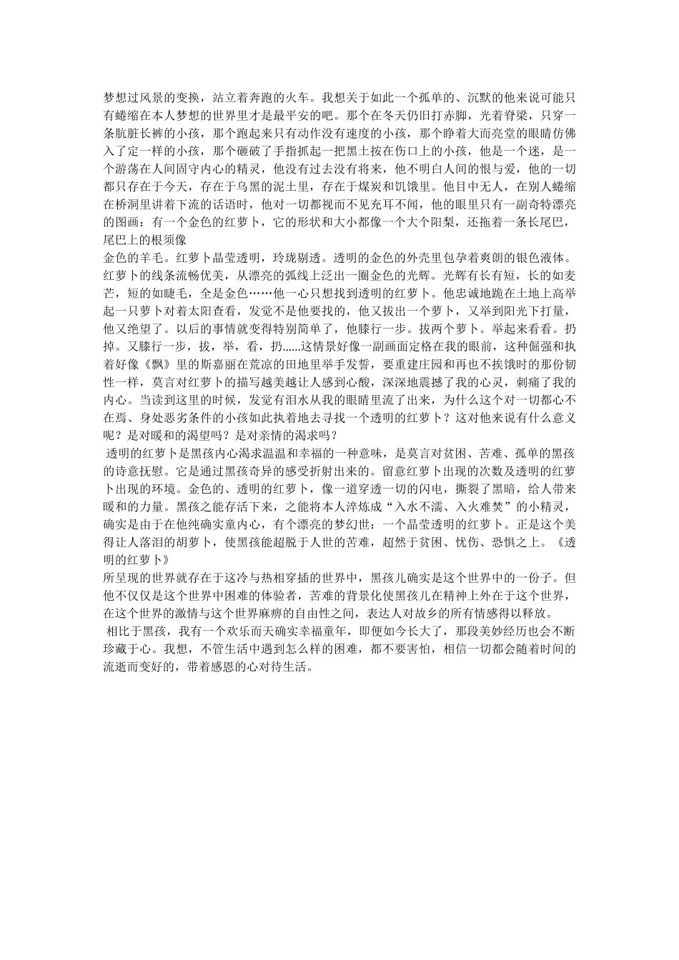 透明的胡萝卜读后感 _第3页