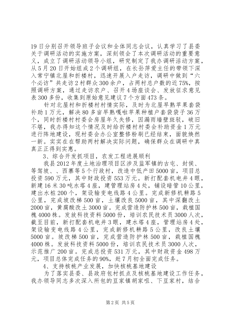 农发办上半年工作总结及下半年工作打算_第2页