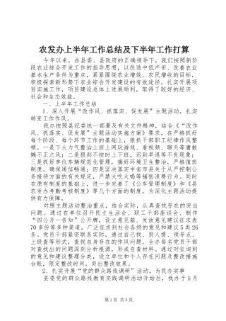 农发办上半年工作总结及下半年工作打算