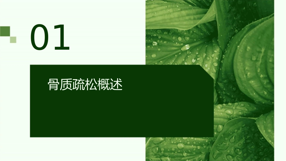 老年医学 老年骨质疏松护理课件_第3页