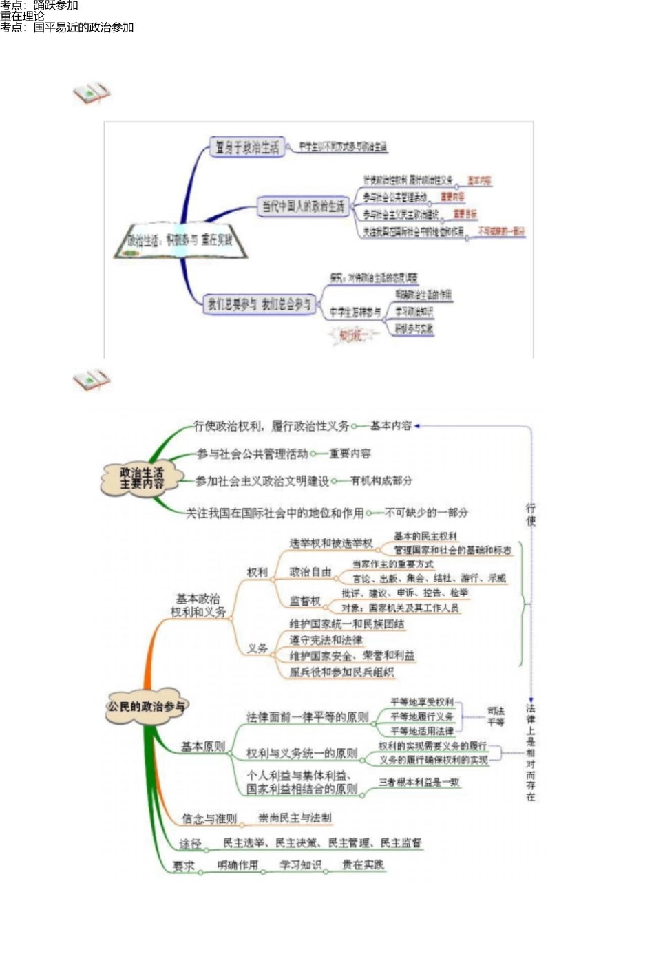 思维导图——政治生活部分 _第3页