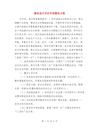 地方河区环保整改方案
