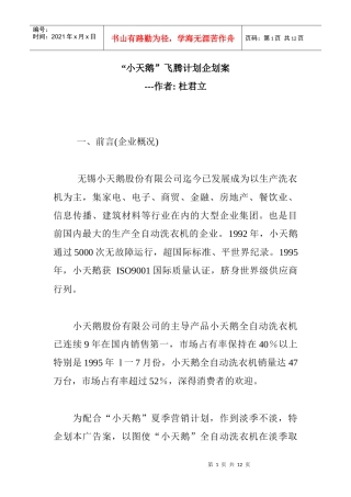 小天鹅集团市场营销战略