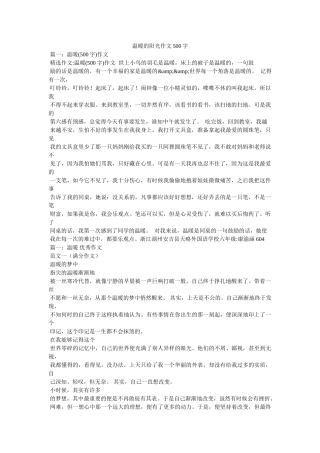 温暖的阳光作文500字 