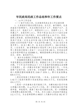 年民政局民政工作总结和年工作要点