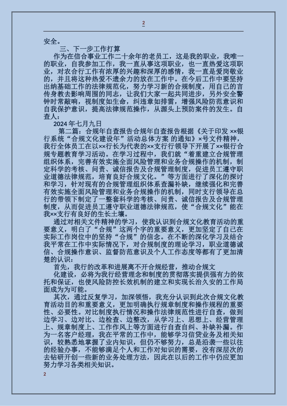 合规执行自查报告_第2页