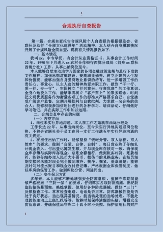 合规执行自查报告