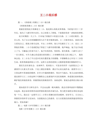 王二小观后感 