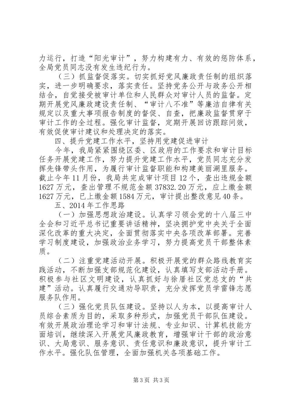 审计局党支部工作总结_第3页