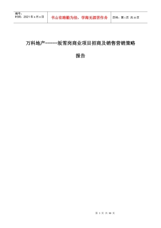 XX商业项目招商及销售营销策略报告