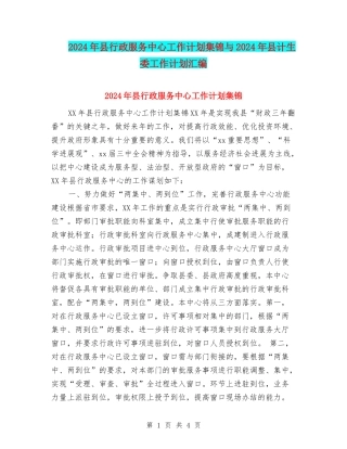 2024年县行政服务中心工作计划集锦与2024年县计生委工作计划汇编