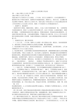 乡镇人大主席任期工作总结精选 