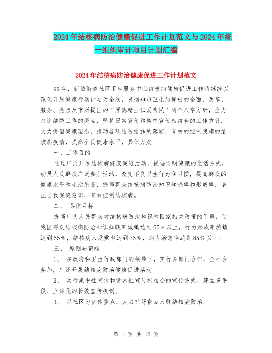 2024年结核病防治健康促进工作计划范文与2024年统一组织审计项目计划汇编_第1页
