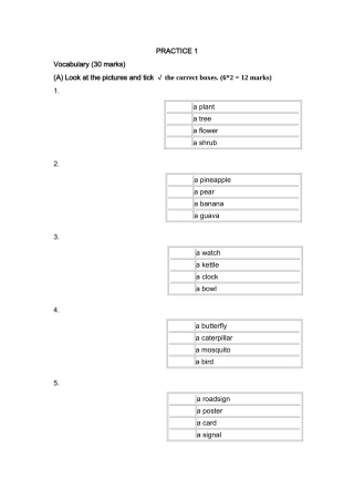 新加坡小学英语一年级试卷PRACTICE 12 