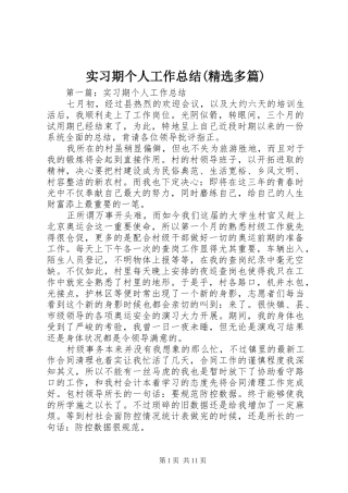 实习期个人工作总结(精选多篇)