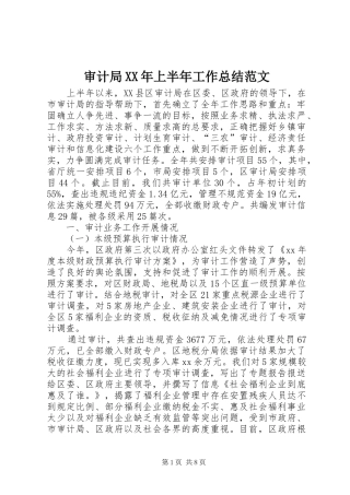 审计局XX年上半年工作总结范文