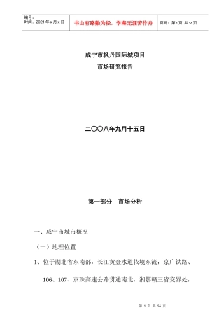 咸宁市某项目市场研究分析报告