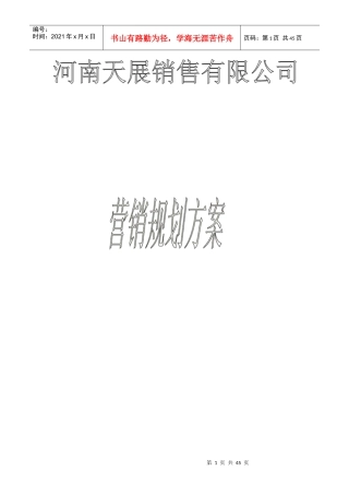 天展照明营销规划方案