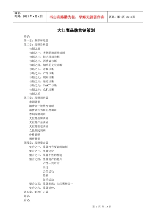 大红鹰品牌营销策划1