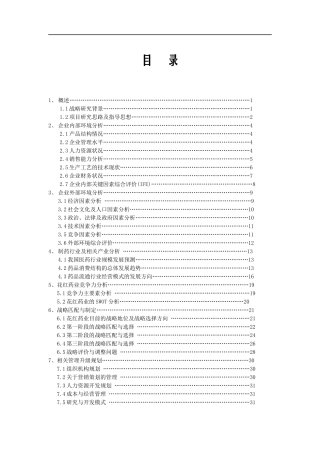 广西花红药业市场营销战略