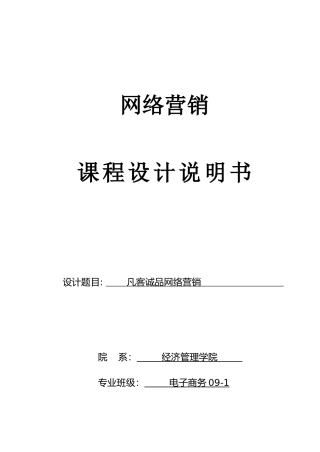 凡客网络营销概述