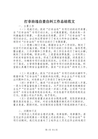 打非治违自查自纠工作总结范文