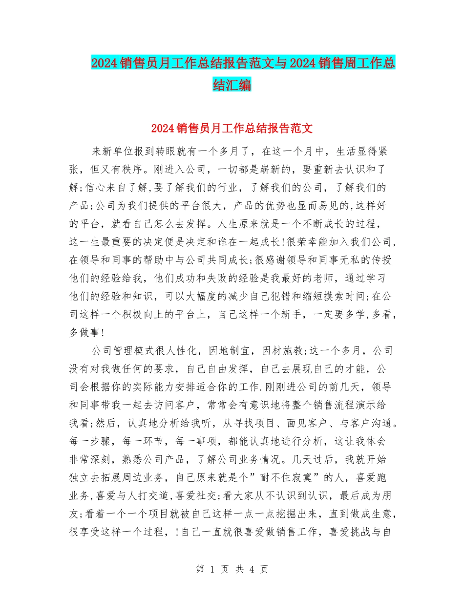 2024销售员月工作总结报告范文与2024销售周工作总结汇编_第1页