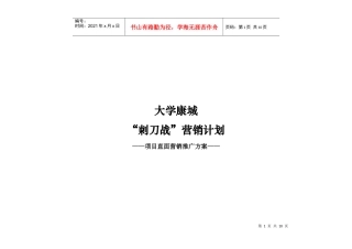 大学康城直面营销方案618