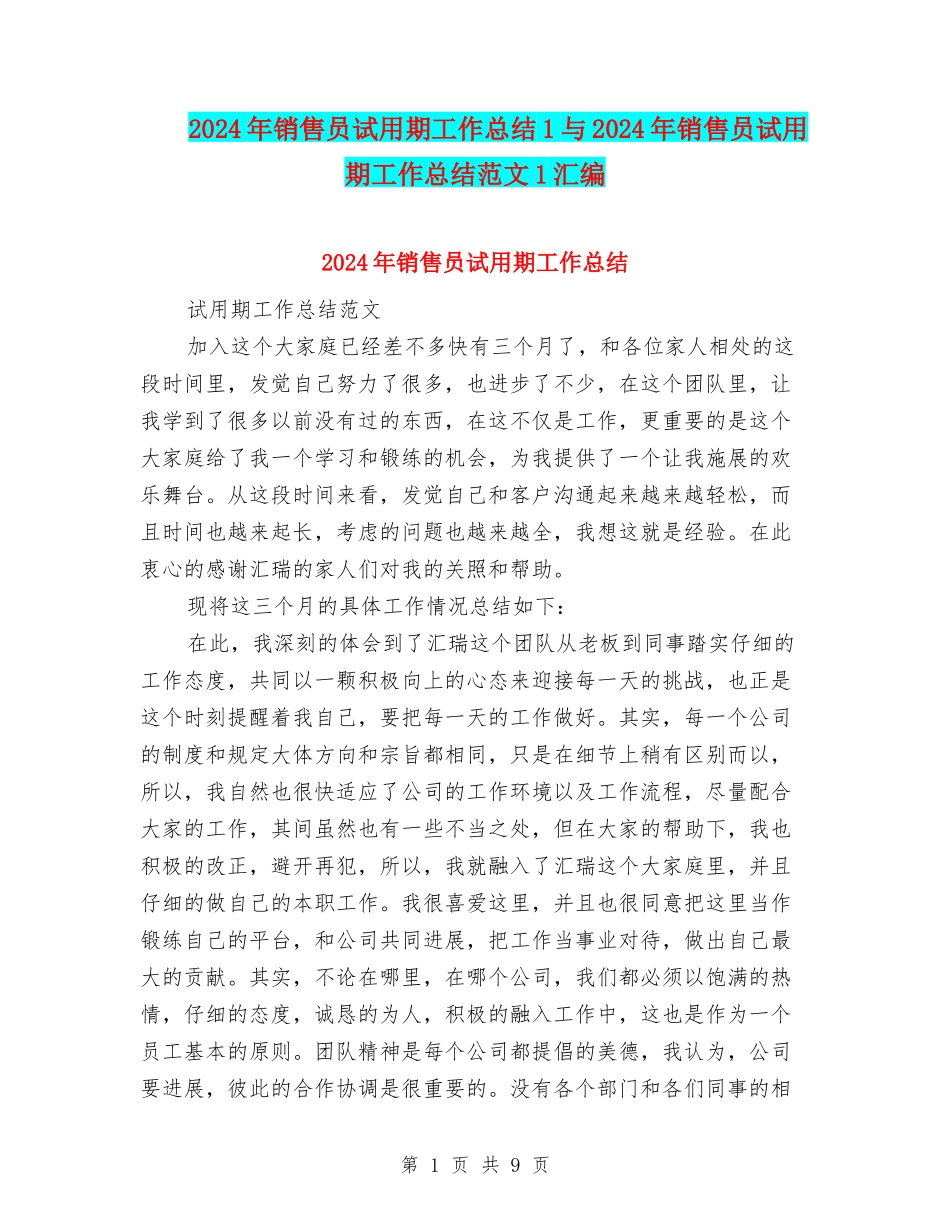 2024年销售员试用期工作总结1与2024年销售员试用期工作总结范文1汇编_第1页