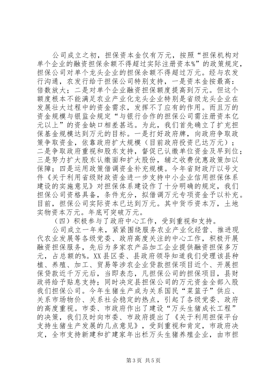 农业信用担保公司年终工作总结_第3页