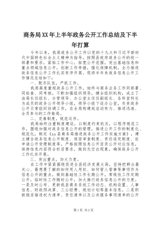 商务局XX年上半年政务公开工作总结及下半年打算
