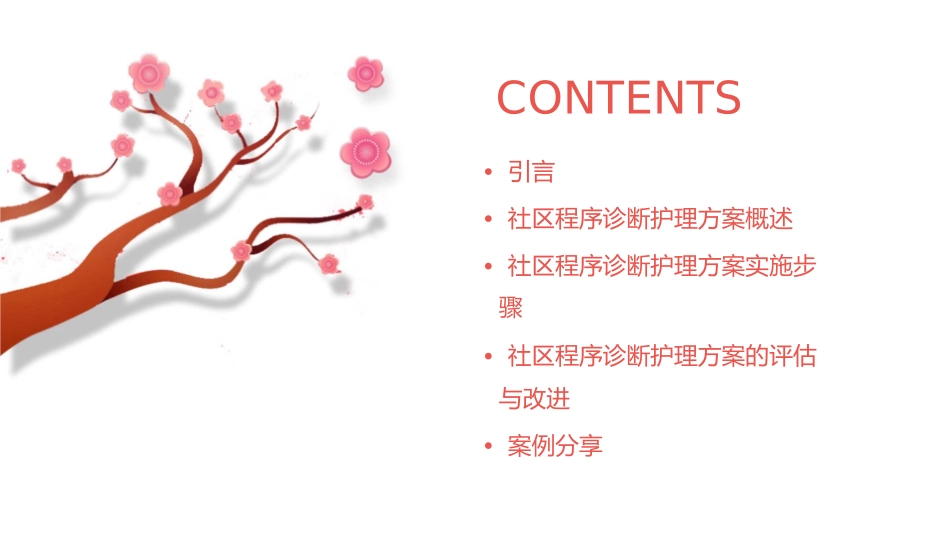 社区程序诊断护理方案_第2页