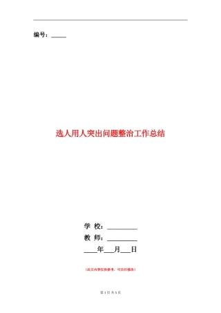 选人用人突出问题整治工作总结