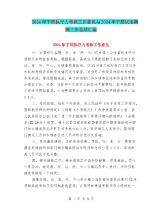 2024年干部执行力考核工作意见与2024年干部试用期满工作总结汇编