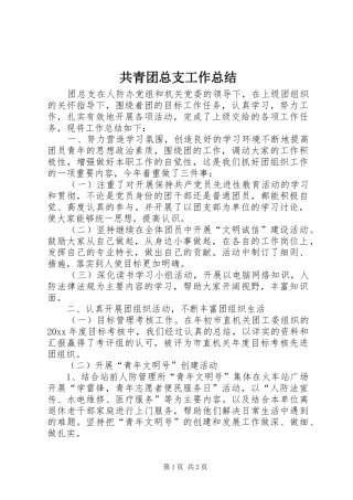 共青团总支工作总结