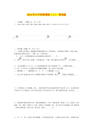 2024年小升初周周练(二)-青岛版