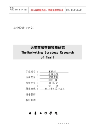 天猫商城营销策略研究分析
