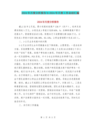 2024年月度分析报告与2024年月度工作总结汇编