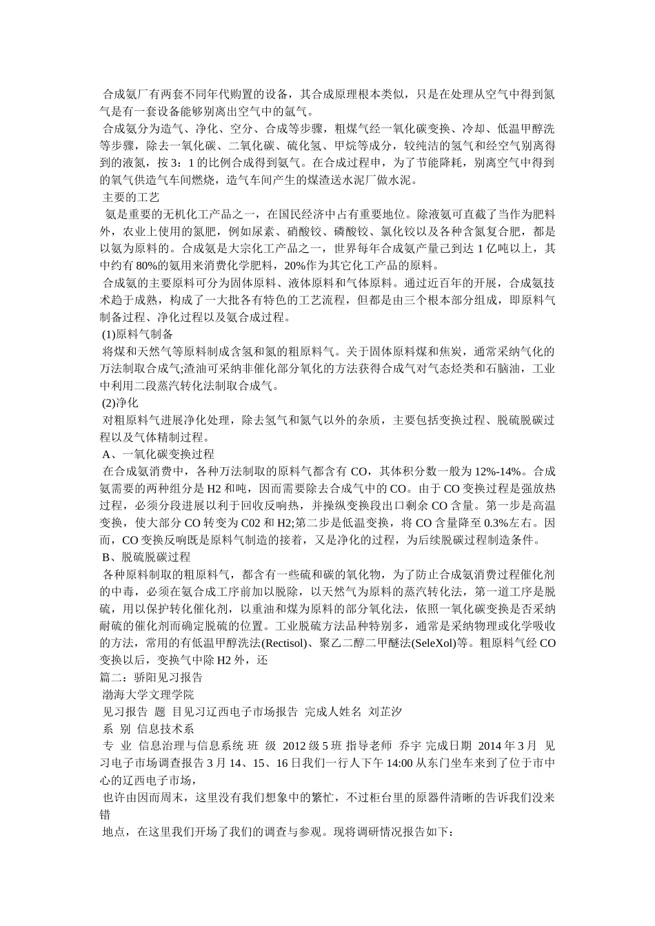 天脊集团见习报告参考精选 _第3页