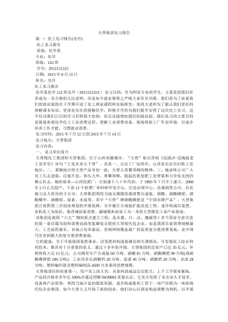 天脊集团见习报告参考精选 