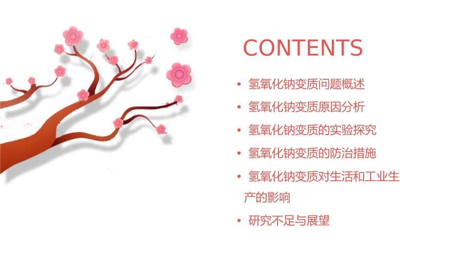 氢氧化钠变质问题探究课件_第2页