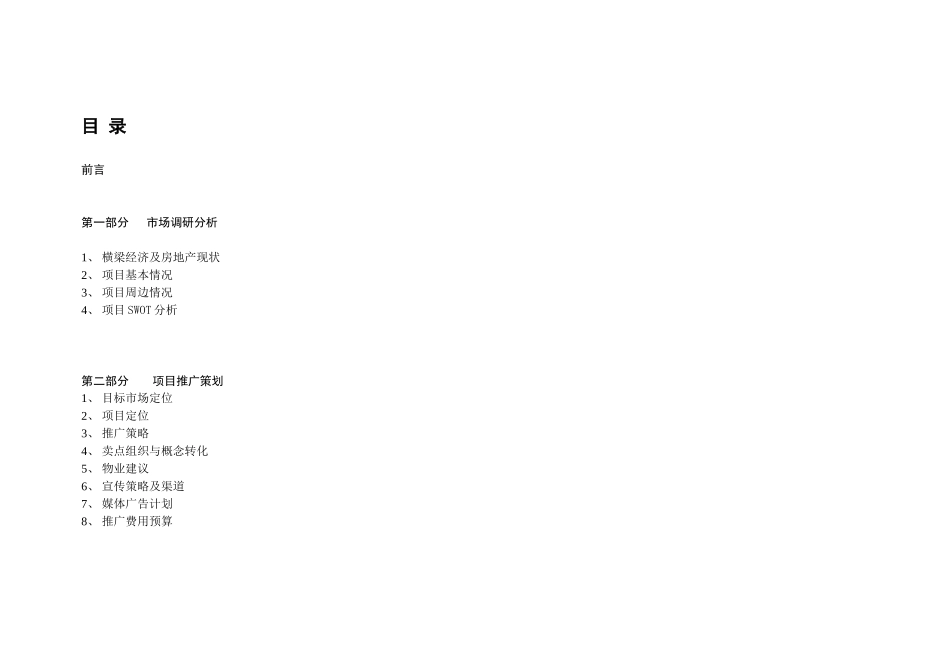 南京某文化社区营销推广策划案_第2页