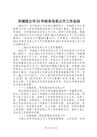 市城投公司XX年政务信息公开工作总结
