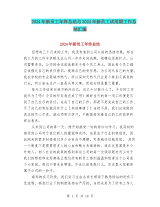2024年新员工年终总结与2024年新员工试用期工作总结汇编