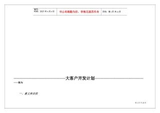 大客户开发计划(DOC44页)