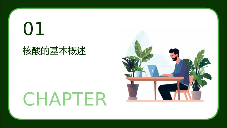 核酸的分子结构性质和功能课件_第3页