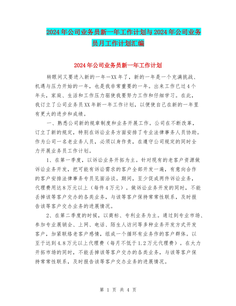 2024年公司业务员新一年工作计划与2024年公司业务员月工作计划汇编_第1页