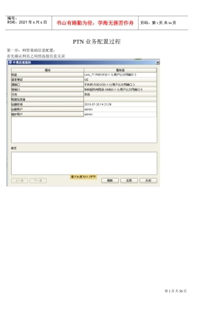 Ptn业务配置过程(DOC54页)