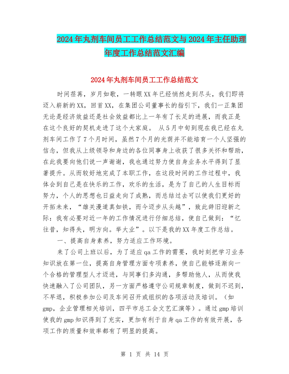 2024年丸剂车间员工工作总结范文与2024年主任助理年度工作总结范文汇编_第1页